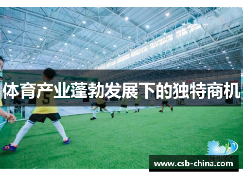 体育产业蓬勃发展下的独特商机